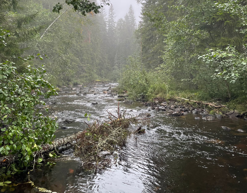 spannån2-800