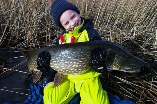 Framtidens Sportfiskare: Jonatan tog 12 kilosgädda!