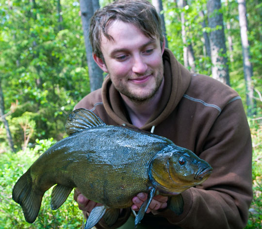 Fina sutare anmälda i Troféfisken!