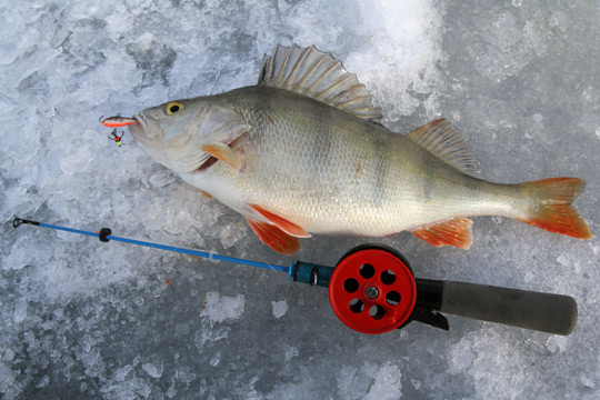 Nya sjöar på Sportfiskekortet