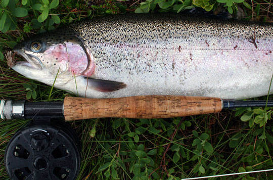 Fiskefest för alla i Skåne på höstlovet