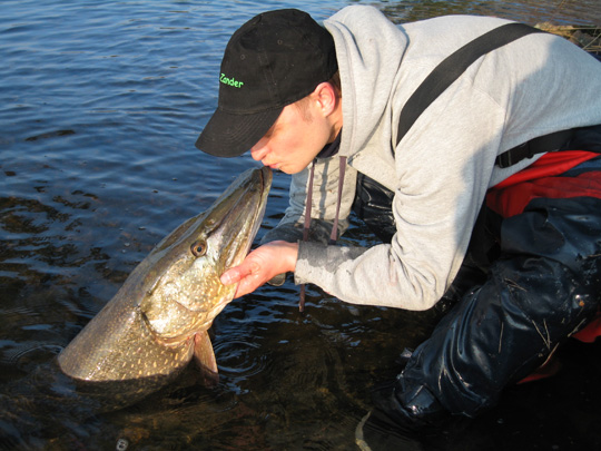 Predator- och havsöringsmässa samt Pike Challenge