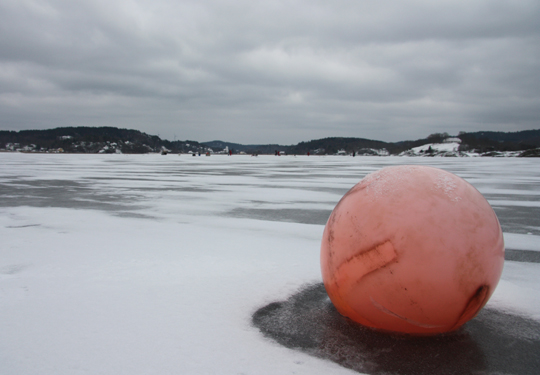 Artrikt isfiske på Gullmarsfjorden