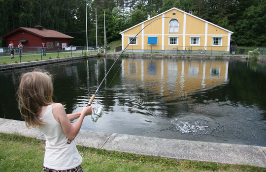 Höstlovsfiske med Sportfiskarna i Göteborg