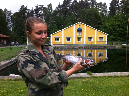 Tjejfiskets Dag på Sjölyckan lördag 15/6