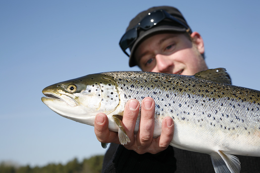 Havsöring från kajak?