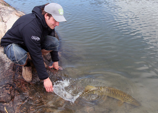 Catch & release hållbart enligt ny studie