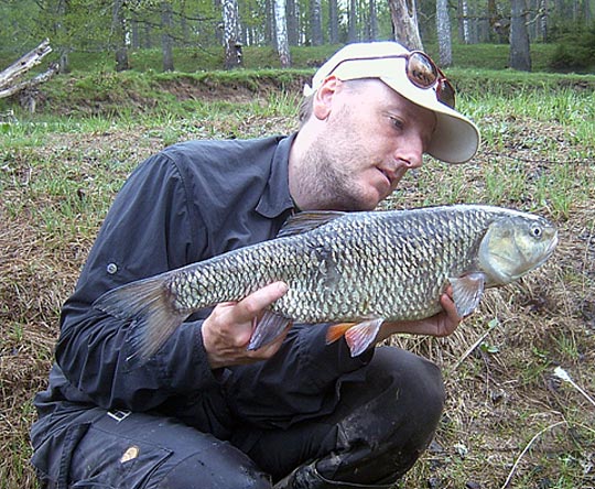 Fullödigt om färnan