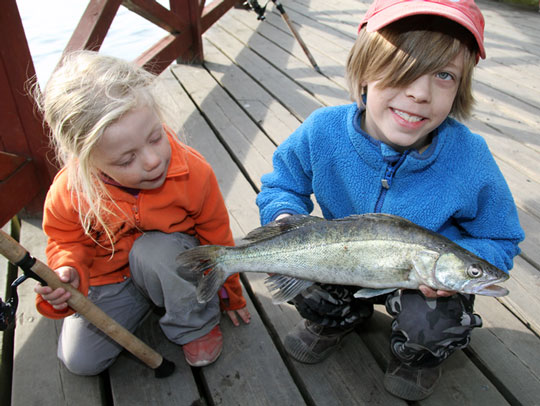 Sänkt pris på Sportfiskekortet