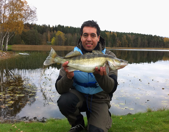 Tre nya arter registrerade i Troféfisken