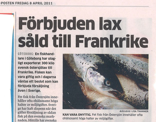 Dioxinlaxen -en fet fiskskandal som kräver åtgärder