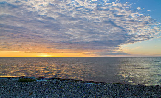 Ge havet en röst och rädda fisket