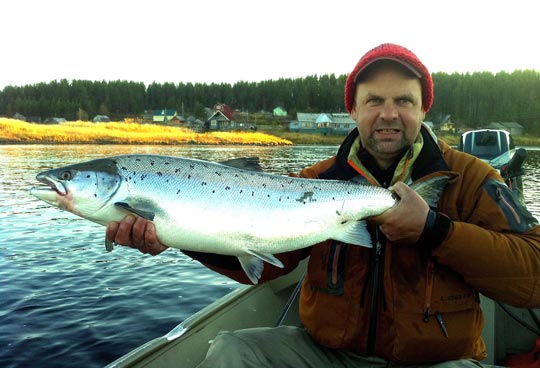 Johan Abelsson räddar laxen