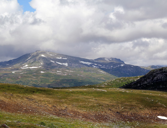 Försurade fjäll måste kalkas mera
