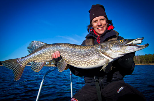 Nicka Hellenberg räddar laxen