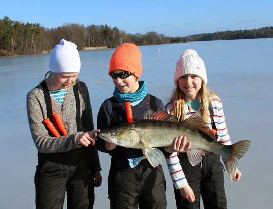 Köp nya Sportfiskekortet!