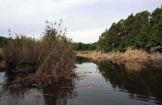 Fiskevårdsåtgärder klara på Östra Lagnö