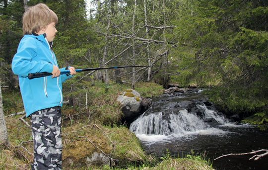 Försurningen fortsatt stort problem