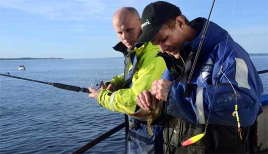 Var med på SM i havsfiske!