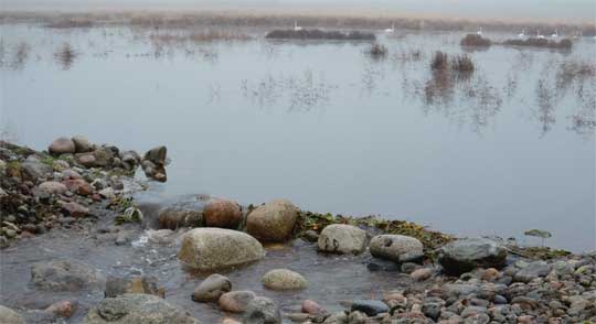 Kommunerna fixar inte miljömålen