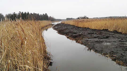 Ny gäddfabrik i Kalmar – Stävlö