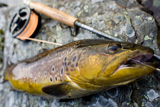 Fiskekort.se växer och lanserar nya funktioner