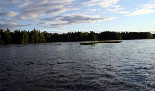 Nej till kraftverk i Nedre Dalälven