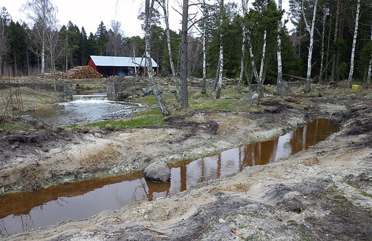 Omlöp i Varbosån på Gotland